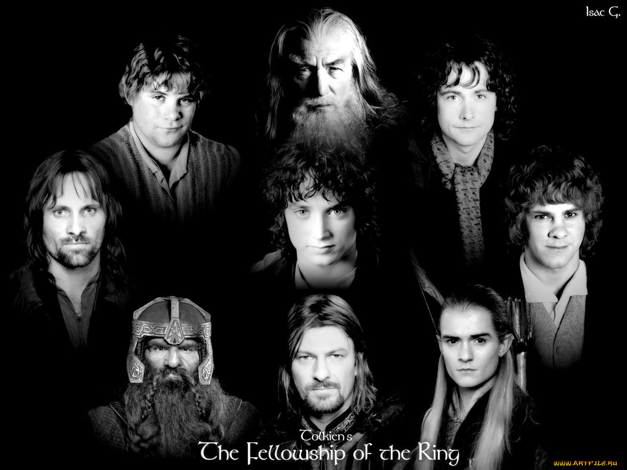 , , the, lord, of, rings, fellowship, ring